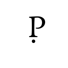 LATIN CAPITAL LETTER P WITH DOT BELOW