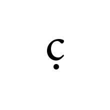LATIN SMALL LETTER C WITH DOT BELOW