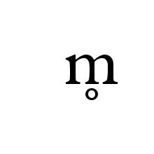 LATIN SMALL LETTER M WITH RING BELOW