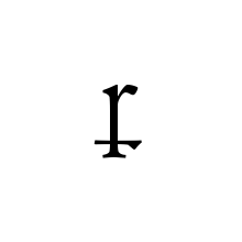 LATIN SMALL LETTER R WITH LONG LEG AND STROKE THROUGH DESCENDER
