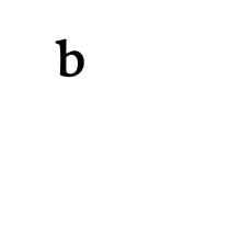 COMBINING LATIN SMALL LETTER B