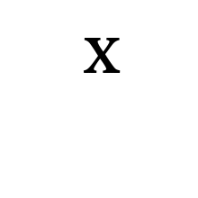 MODIFIER CAPITAL LETTER X